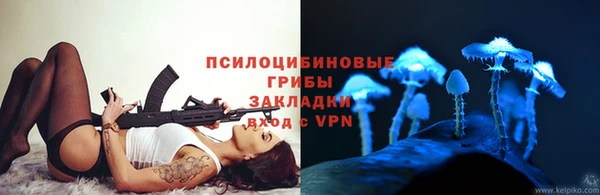 прущая мука Новодвинск