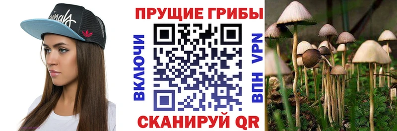 Псилоцибиновые грибы Magic Shrooms MEGA tor Амурск дарнет шоп