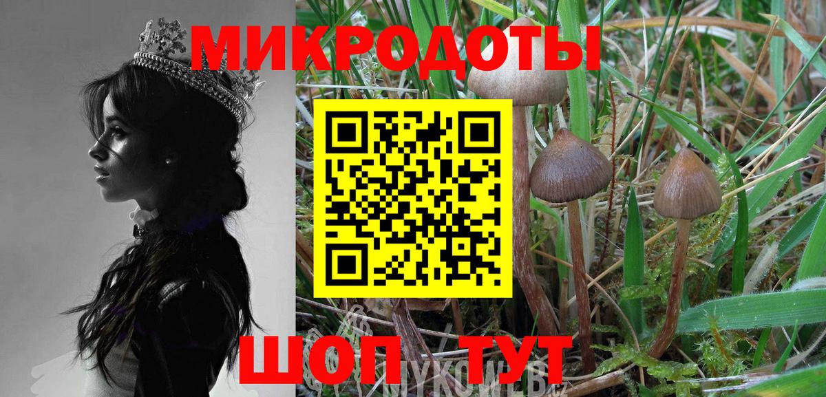Амурск  Псилоцибиновые грибы Psilocybine cubensis  Вход с VPN  Псилоцибиновые грибы Psilocybe 