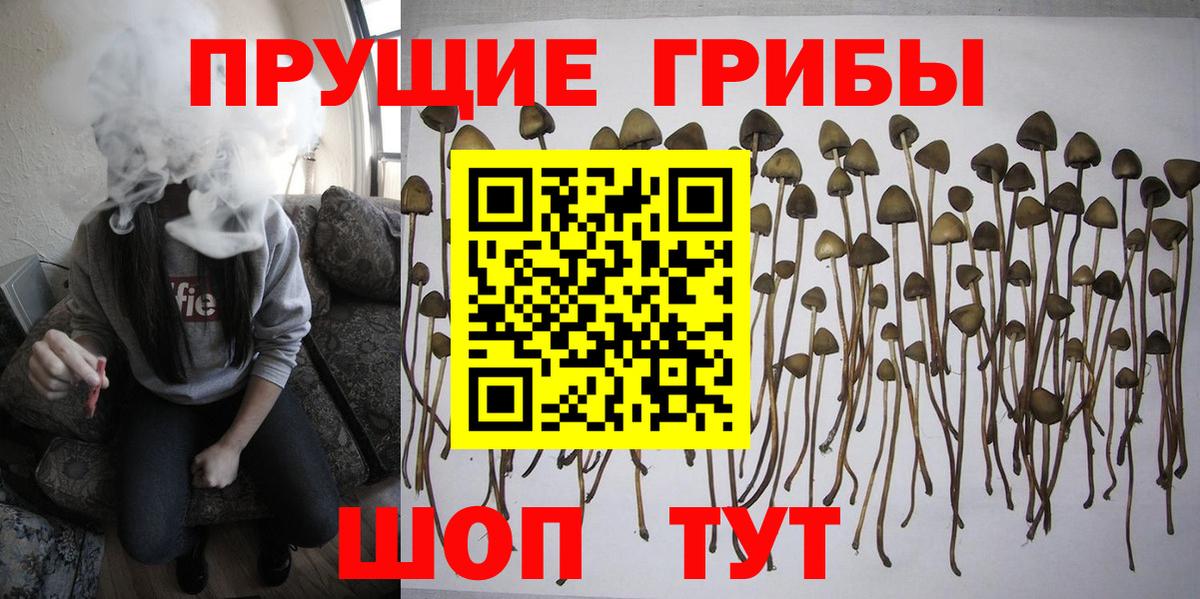 Галлюциногенные грибы ЛСД  где купить   Амурск 