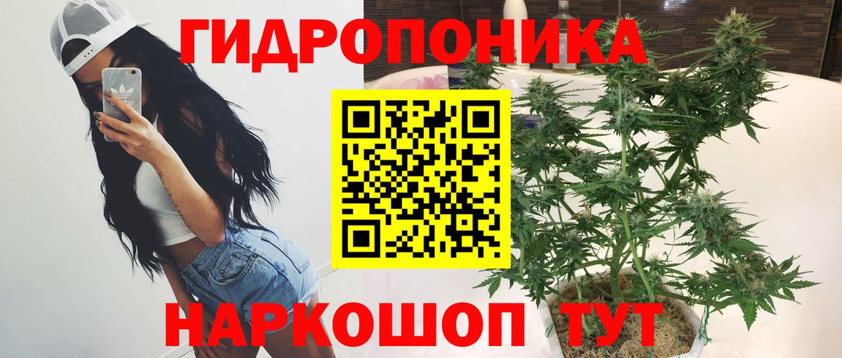 Бошки марихуана OG Kush  Каннабис планчик  Бошки марихуана VHQ  Амурск 